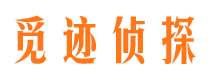 东丰市侦探调查公司